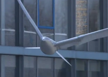 A gaivota realmente voa