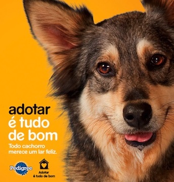 Ajudar é inevitável