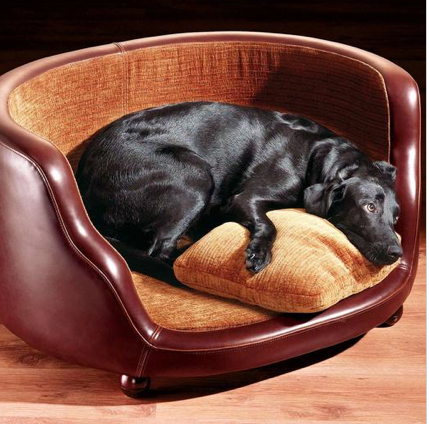 O melhor amigo merece