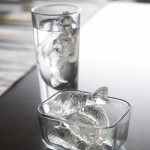 cold fish ice cube tray2