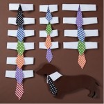 Dapper-Dog-Dog-Tie_6797-l